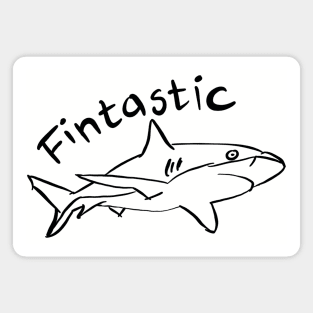 Fintastic Magnet